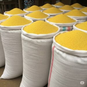 Ijebu Garri